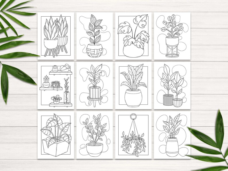 Puede incluir: Un conjunto de 12 dibujos en blanco y negro de plantas en maceta. Cada dibujo presenta un tipo diferente de planta en una maceta, con algunas plantas en soportes o estantes. Los dibujos son perfectos para colorear o usar como inspiraci&oacute;n para tus propias ilustraciones de plantas.