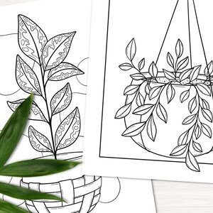 Puede incluir: Un dibujo en blanco y negro de dos plantas en macetas. Una planta est&aacute; en una maceta colgante y la otra en una maceta en el suelo. Ambas plantas tienen hojas detalladas.