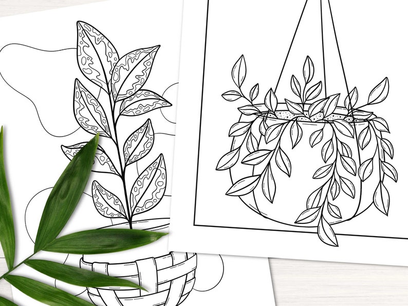 Puede incluir: Un dibujo en blanco y negro de dos plantas en macetas. Una planta est&aacute; en una maceta colgante y la otra en una maceta en el suelo. Ambas plantas tienen hojas detalladas.