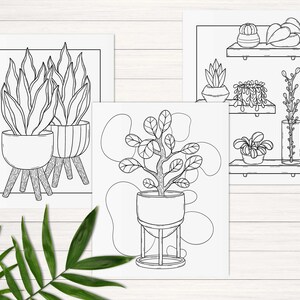 Puede incluir: Tres dibujos en blanco y negro de plantas en maceta. El primer dibujo muestra dos plantas con hojas largas y estrechas en macetas sobre soportes. El segundo dibujo muestra una planta con hojas redondas en una maceta sobre un soporte. El tercer dibujo muestra tres plantas en un estante.