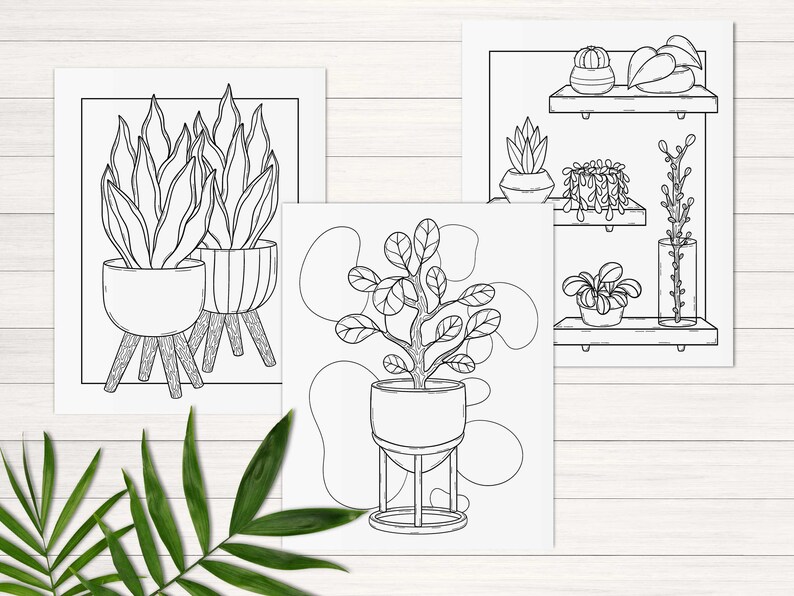 Puede incluir: Tres dibujos en blanco y negro de plantas en maceta. El primer dibujo muestra dos plantas con hojas largas y estrechas en macetas sobre soportes. El segundo dibujo muestra una planta con hojas redondas en una maceta sobre un soporte. El tercer dibujo muestra tres plantas en un estante.
