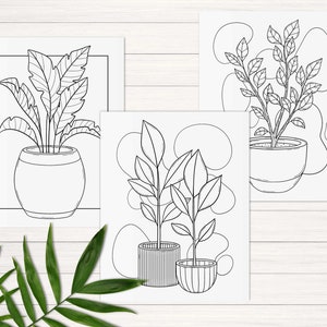 Puede incluir: Tres dibujos en blanco y negro de plantas en maceta. Las plantas son de diferentes estilos y tienen diferentes formas de hojas. Los dibujos est&aacute;n sobre papel blanco.