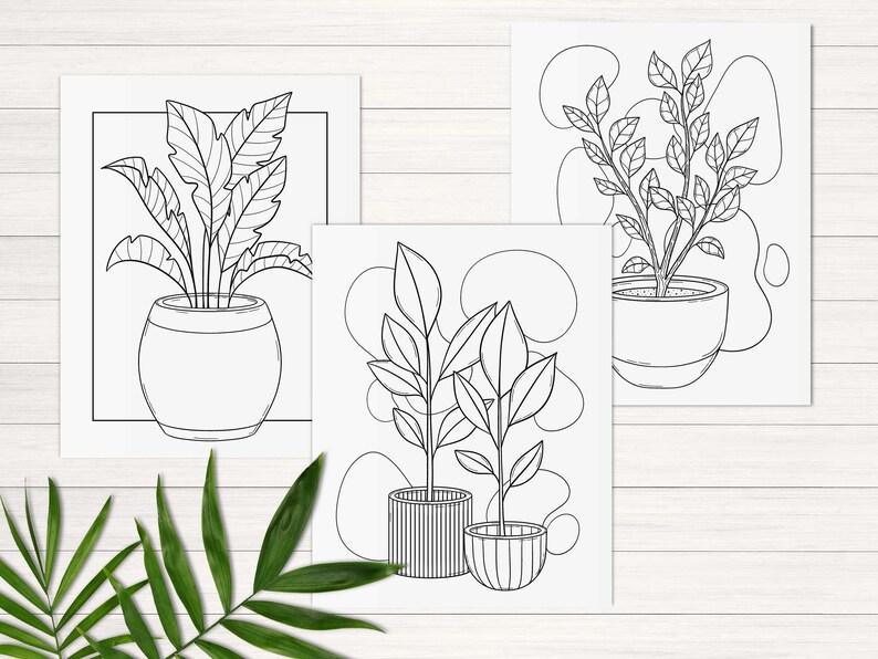 Puede incluir: Tres dibujos en blanco y negro de plantas en maceta. Las plantas son de diferentes estilos y tienen diferentes formas de hojas. Los dibujos est&aacute;n sobre papel blanco.