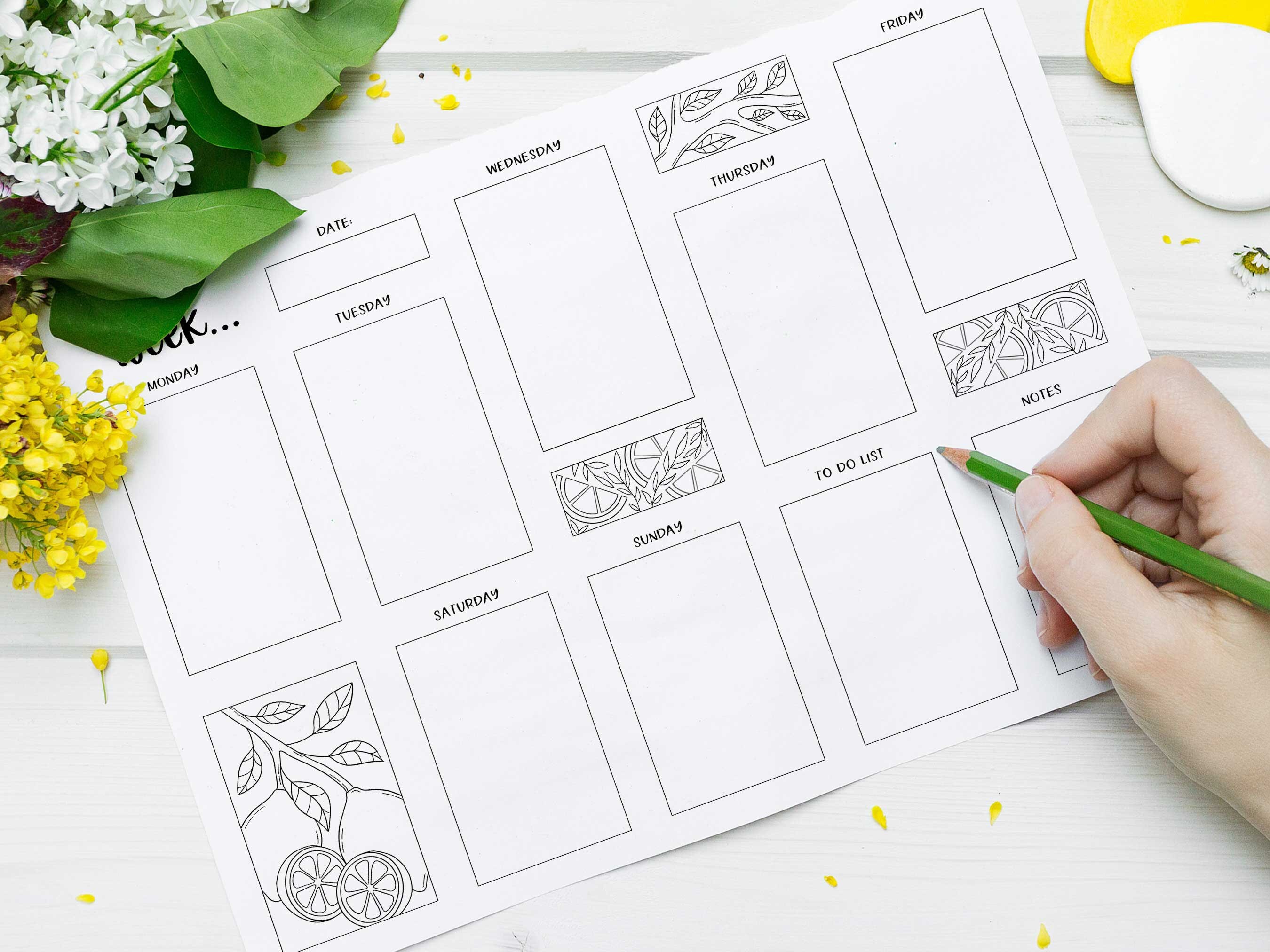 Printable Weekly Planner Landscape Coloring Planner - Etsy