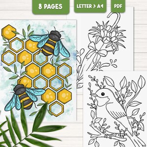 Peut inclure: Un livre de coloriage de 8 pages avec une ruche d'abeilles, un bouquet de fleurs et un oiseau sur une branche. Les pages sont con&ccedil;ues pour &ecirc;tre colori&eacute;es.