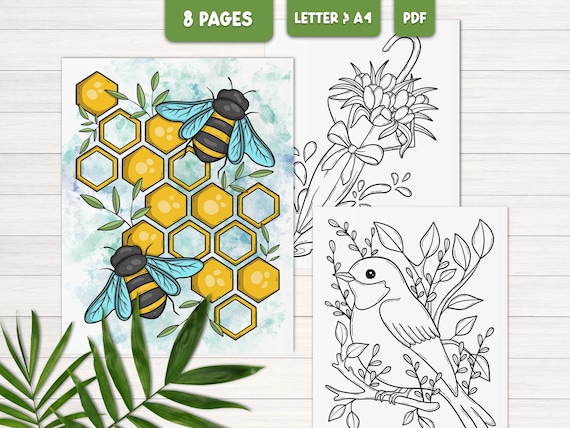 Spring coloring pages for adults, Flower coloring book printable, Floral coloring sheets, Seasonal coloring pages, Digital coloring book