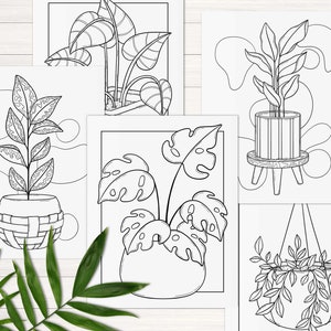 Puede incluir: Cinco dibujos en blanco y negro de plantas en maceta. Las plantas est&aacute;n en macetas de varios estilos y algunas est&aacute;n colgadas. Los dibujos est&aacute;n en papel blanco.
