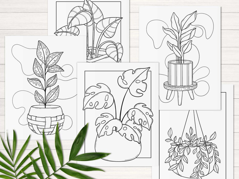 Puede incluir: Cinco dibujos en blanco y negro de plantas en maceta. Las plantas est&aacute;n en macetas de varios estilos y algunas est&aacute;n colgadas. Los dibujos est&aacute;n en papel blanco.