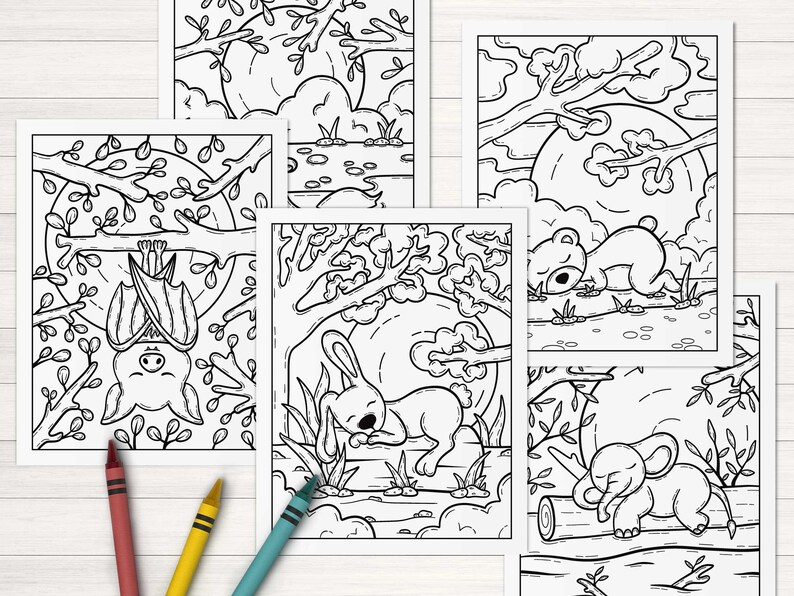 May include: Five black and white coloring pages featuring animals sleeping in a forest setting. The animals include a bat, a rabbit, a bear, and an elephant.