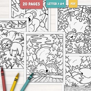 Cute animal coloring pages for kids, Printable woodland animals coloring pages, Jungle animals coloring, Animal coloring book for adults