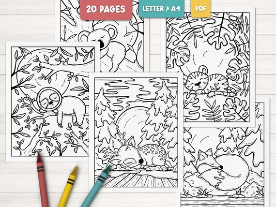 Cute animal coloring pages for kids, Printable woodland animals coloring pages, Jungle animals coloring, Animal coloring book for adults