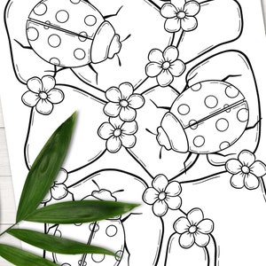 Peut inclure: Une page &agrave; colorier en noir et blanc repr&eacute;sentant trois coccinelles avec des points sur le dos et des fleurs. Les coccinelles sont sur une tige feuillue avec des fleurs.
