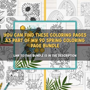 Puede incluir: Una colecci&oacute;n de 90 p&aacute;ginas para colorear en blanco y negro con tem&aacute;tica primaveral. Las p&aacute;ginas presentan im&aacute;genes de flores, p&aacute;jaros, abejas y otras im&aacute;genes primaverales. El texto "YOU CAN FIND THESE COLORING PAGES AS PART OF MY 90 SPRING COLORING PAGE BUNDLE" se muestra en el centro de la imagen. El texto "LINK TO THIS BUNDLE IS IN THE DESCRIPTION" se muestra debajo del texto.