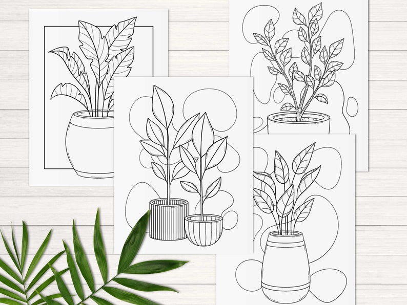 Puede incluir: Cuatro dibujos en blanco y negro de plantas en maceta. Cada dibujo presenta una planta diferente con formas y tama&ntilde;os de hojas variados. Las plantas est&aacute;n en macetas diferentes, algunas con un dise&ntilde;o simple y otras con un patr&oacute;n m&aacute;s complejo.