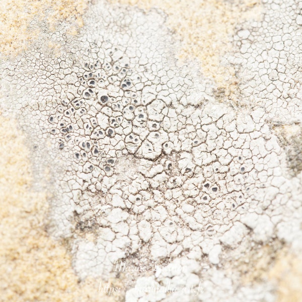 Rock stone macro abstract digital photography, nature abstract macro printable image, jpeg, download, abstract texture wall art