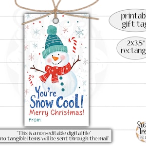 Etiqueta de regalo de Navidad - Etiqueta de regalo de Navidad - Recuerdo de clase - Etiqueta de regalo de muñeco de nieve - Etiqueta de vacaciones de invierno - Regalos para el aula - Regalos para la clase - Etiquetas navideñas