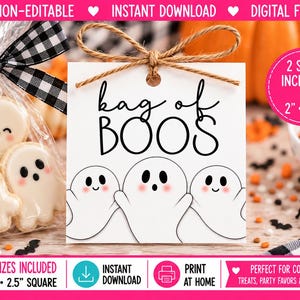 Puede incluir: Una etiqueta de regalo cuadrada blanca con el texto negro 'bag of BOOS' sobre tres fantasmas dibujados con mejillas rosadas. La etiqueta est&aacute; atada con cuerda marr&oacute;n. Se ve una bolsa de pl&aacute;stico transparente con galletas de fantasmas.