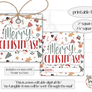 Printable Christmas cookie tags -  Christmas treat tag - Reindeer gift tags - Christmas class gifts - Christmas goodie bags - Christmas tags