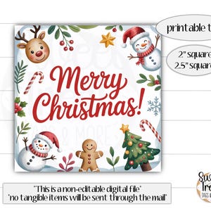 Printable Christmas Favor Tags - Christmas cookie tag - Christmas Treat Tag - kids Christmas tag - Christmas class tag - Christmas favor tag