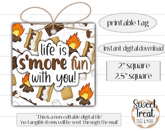 Printable s'more tag - life is s'more fun with you tag - smore treat tag - smore cookie tag - smore favor tag - s'more tag - smore treat tag