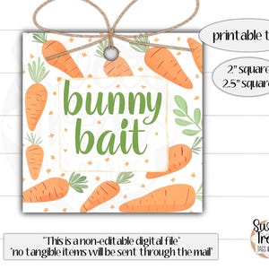 Étiquettes à biscuits de Pâques - étiquette de classe de Pâques - étiquette d'appât de lapin - étiquette de festin de Pâques - sac de cadeaux de Pâques - étiquette de Pâques pour enfants - appât de lapin de Pâques