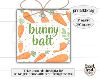 Easter cookie tags - Easter class tag - bunny bait tag - Easter treat tag - Easter goodie bag - Kids Easter tag - Easter bunny bait