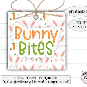 May include: Printable tag with a white background and a repeating pattern of bunnies and carrots. The tag says "Bunny Bites" in orange and green letters. The tag is available in two sizes: 2 inches square and 2.5 inches square.