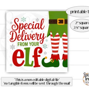 Könnte beinhalten: Ein quadratisches, bedruckbares Etikett mit den Worten "Special Delivery From Your Elf" in Rot und Grün. Das Design zeigt die Beine eines Elfen mit rot-weiß gestreiften Socken und grünen Schuhen. Das Etikett ist in 5,08 cm und 6,35 cm Quadratgrößen erhältlich.