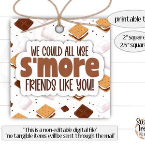 Printable s&#39;more tag - S&#39;more friends like you! - s&#39;more treat tag - s&#39;more cookie tag - s&#39;mores favor tag - camping tag - class treat tag