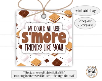 Printable s'more tag - S'more friends like you! - s'more treat tag - s'more cookie tag - s'mores favor tag - camping tag - class treat tag