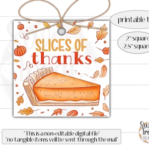 Printable Thanksgiving cookie tag - a slices of thanks - Thanksgiving pie tag - Thanksgiving treat tag - fall cookie tag - Pie cookie tag
