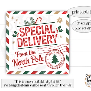 Può includere: Un'etichetta stampabile quadrata a tema natalizio con un design rosso, verde e oro. Le parole "Special Delivery" sono in rosso, con "From the North Pole" sotto. Include un timbro del Polo Nord e il testo "Santa Approved".