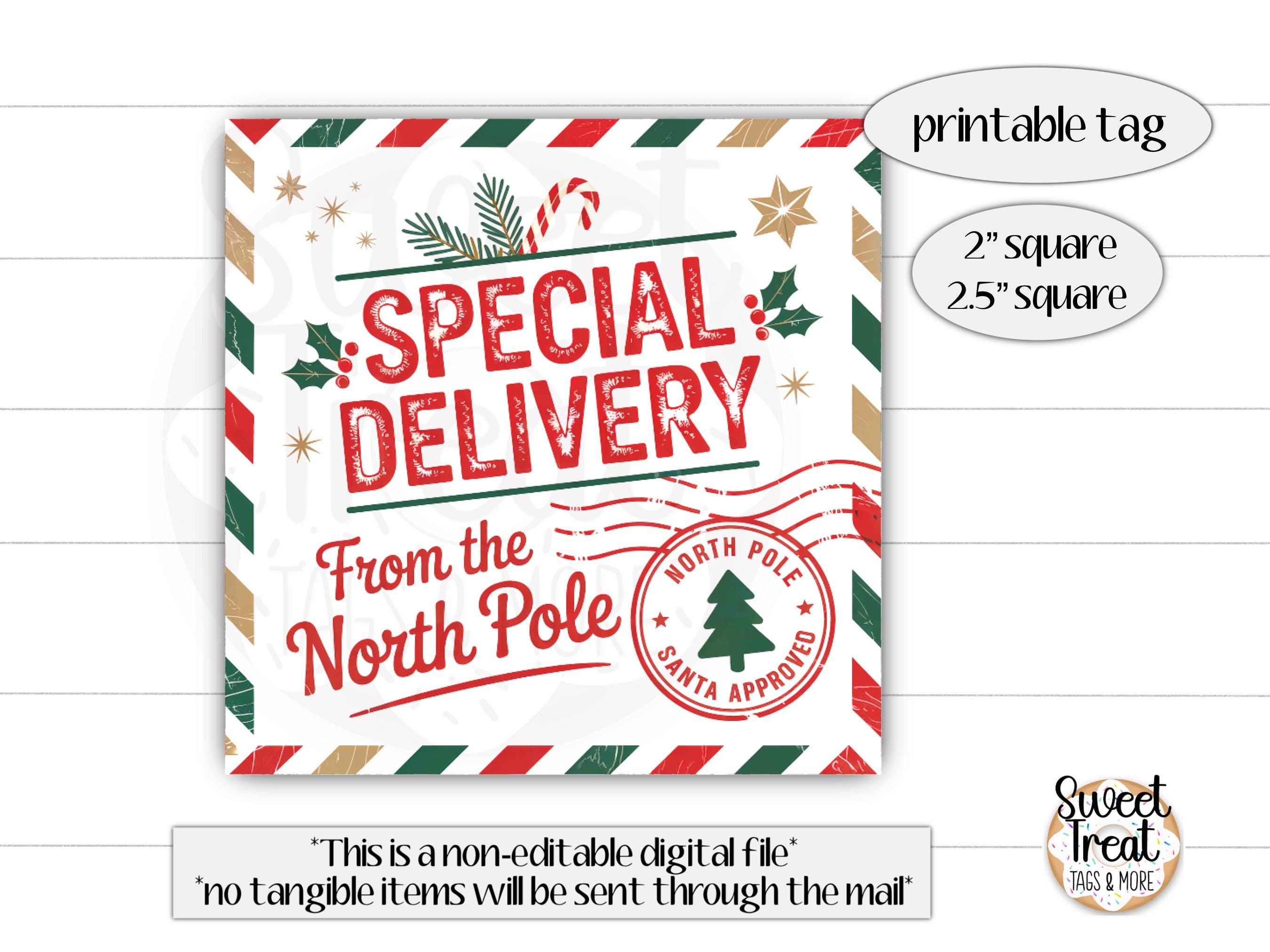 printable christmas tag - special delivery from the north pole