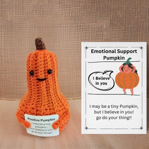 Calabaza de peluche tejida a crochet hecha a mano - Regalo de ánimo con tarjeta inspiradora - Un detalle especial para él y su familia - Un recuerdo para animar