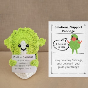 Cavolo all'uncinetto con biglietto di messaggio positivo, regalo allegro di sostegno, regalo per lui, regalo di famiglia, supporto emotivo, regalo di incoraggiamento per un amico