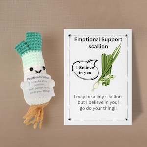 Crochet Scallion avec carte de message positif, cadeau joyeux de soutien, cadeau pour lui, cadeau de famille, soutien émotionnel, ami remonte le moral