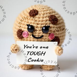 May include: A crocheted cookie character holding a sign that says "You're one TOUGH Cookie". The cookie is brown with chocolate chips and has a smiling face with pink cheeks.