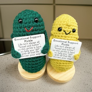 Pepinillo de apoyo emocional, 2 estilos diferentes, 3 frases, peluche de comida de crochet hecho a mano con tarjetas positivas, regalo personalizado, pepinillo grande.