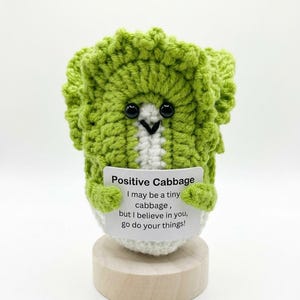 positive crochet cabbage with tag, Desk decor, emotional support gift, Pocket hug, Hard times friend, addopt a toy, friend cheer up present
