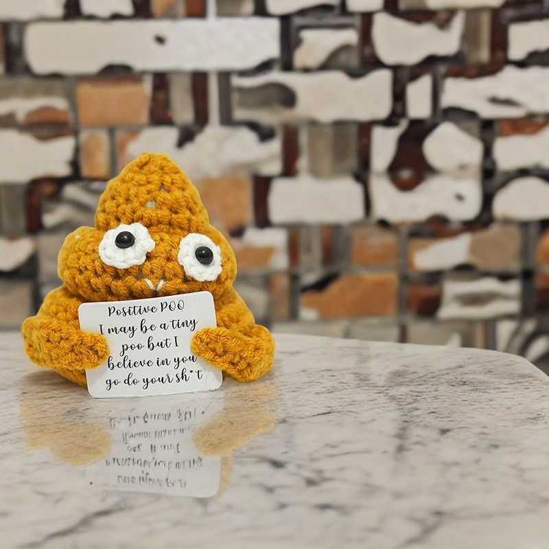 Handmade Crochet Positive Poo, Gift Boxed, Funny Silly Gift Humour, Poop,  Friend, Coworker, Desk Accessory Positivity Motivational Christmas 