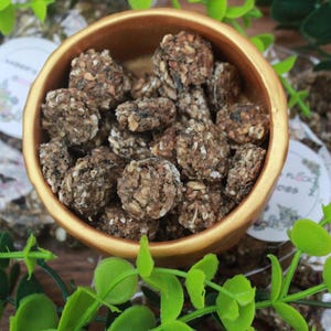 May include: A wooden bowl filled with round, textured treats. The treats are a mix of brown and tan colors, with visible seeds and grains. The bowl sits on a surface surrounded by green foliage. A package with a white label is visible in the background.