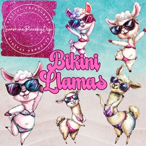 Può includere: Cinque lama di cartone animato che indossano bikini rosa e blu e occhiali da sole. I lama sono in piedi su una spiaggia con uno sfondo blu e bianco. Il testo "Bikini Llamas" è scritto in lettere rosa.