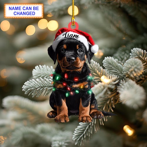 Custom Name Rottweiler Cute Dog With Santa Hat Christmas Lights
