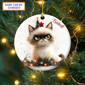 Custom Name Fluffy Himalayan Cat Grumpy Cat Christmas Lights Christmas Ornament, Christmas Tree Hanging Decor, Ceramic Round Ornament