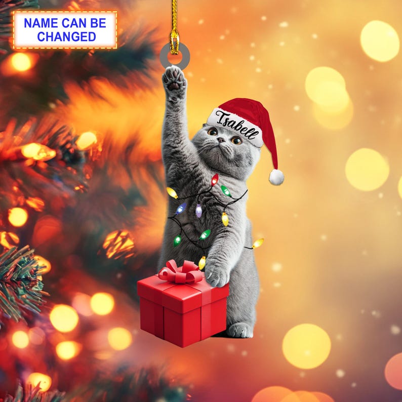 Custom Name British Shorthair Cat With Santa Hat and Christmas Lights