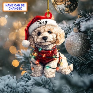 Pode incluir: Um cão branco e castanho vestindo um suéter vermelho com luzes de Natal e um chapéu de Papai Noel vermelho. O nome do cão é "Joey" e está escrito no chapéu. O cão está em um fundo branco.