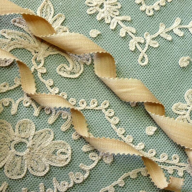 Ancien Galon 2 Tons De Bleu (39) & Antique Trim - FR