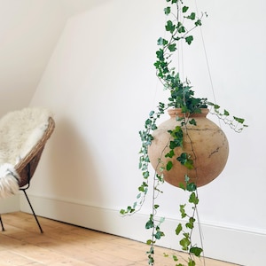 Minimalist Wire Rope Plant Hanger: Stainless Steel Climbing Support