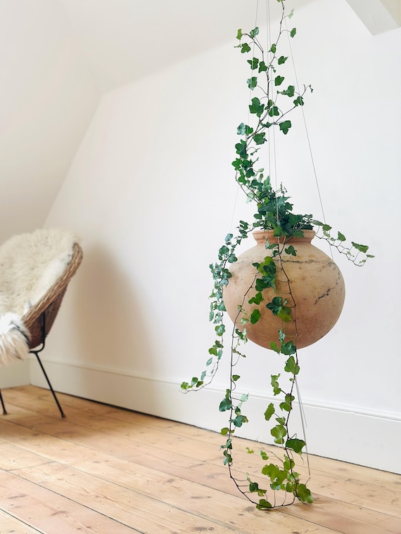 Minimalist Wire Rope Plant Hanger: Stainless Steel Climbing Support