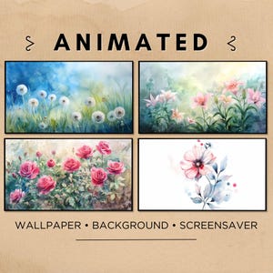 May include: Four watercolour paintings of flowers. The top left image shows white dandelions in a field. The top right image shows pink lilies in a field. The bottom left image shows pink roses in a field. The bottom right image shows a single pink flower with blue leaves.
